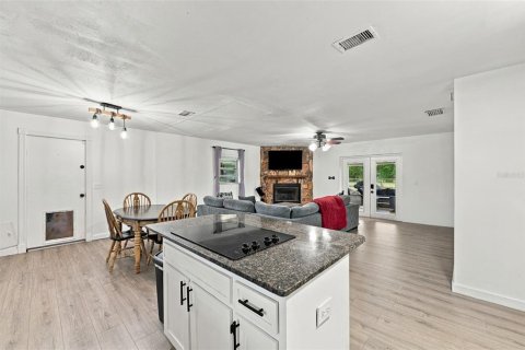 Villa ou maison à vendre à Fish Hawk, Floride: 4 chambres, 156.08 m2 № 2408453 - photo 14