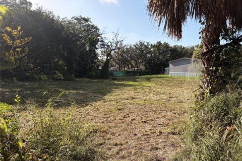 Land in Hudson, Florida № 2155798 - photo 12