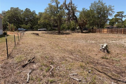Terrain à Hudson, Floride № 2155798