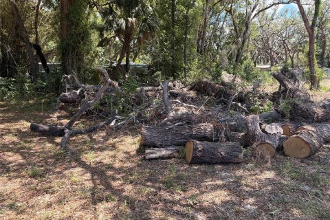 Land in Hudson, Florida № 2155798 - photo 14
