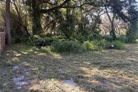 Land in Hudson, Florida № 2155798 - photo 13