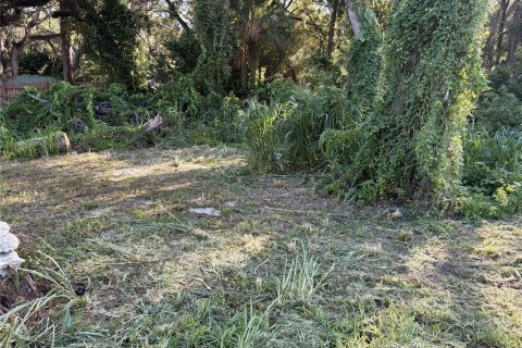 Land in Hudson, Florida № 2155798 - photo 11