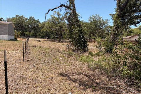 Terrain à vendre à Hudson, Floride № 2155798 - photo 3