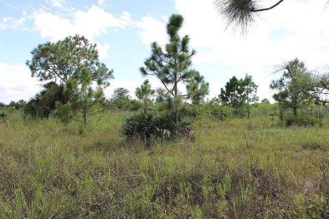 Terreno en Naples, Florida № 2406768