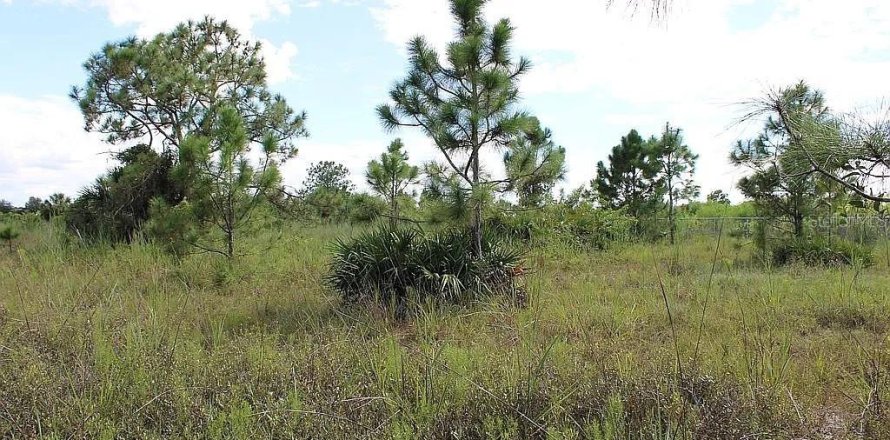 Terreno en Naples, Florida № 2406768