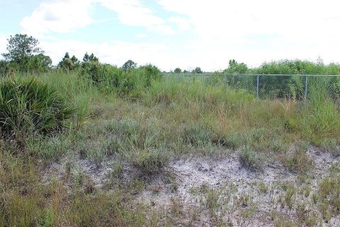 Terreno en venta en Naples, Florida № 2406768 - foto 15
