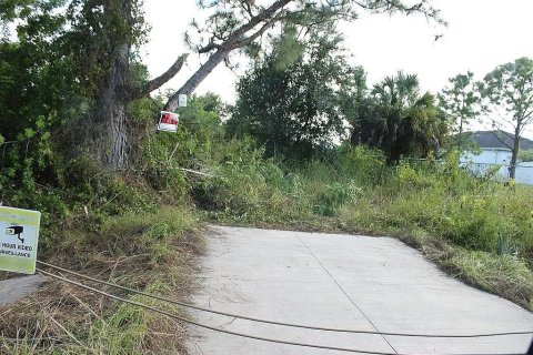 Terreno en venta en Naples, Florida № 2406768 - foto 6