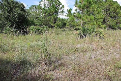 Terreno en venta en Naples, Florida № 2406768 - foto 3