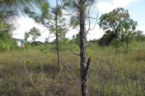 Terreno en venta en Naples, Florida № 2406768 - foto 7