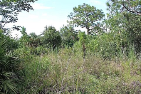 Terreno en venta en Naples, Florida № 2406768 - foto 4