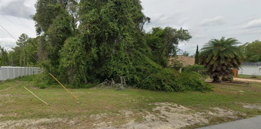 Terrain à Ocala, Floride № 2203446