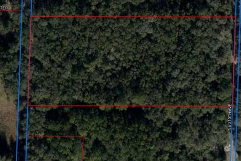 Land in Williston, Florida № 1807343 - photo 2