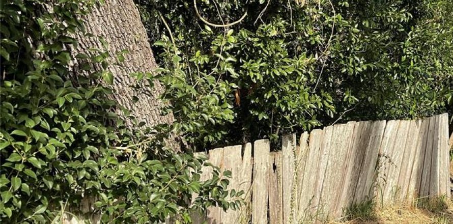 Land in Valrico, Florida № 1553945