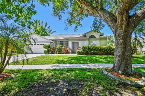 Villa ou maison à vendre à Tarpon Springs, Floride: 4 chambres, 194.54 m2 № 1751384 - photo 1