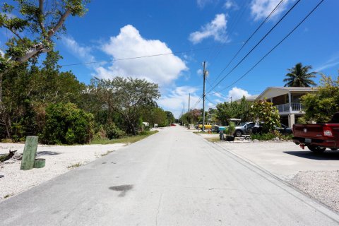 Immobilier commercial à vendre à Key Largo, Floride: 352.47 m2 № 2083444 - photo 6