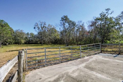 Land in Davenport, Florida № 1829044 - photo 5