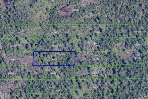 Land in Orlando, Florida № 2218729 - photo 2