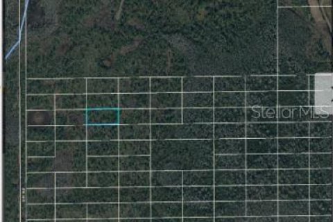 Land in Orlando, Florida № 2218729 - photo 5