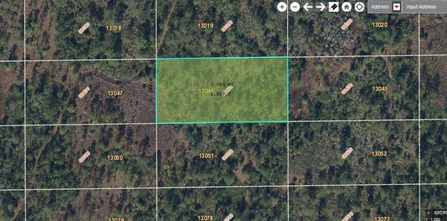 Land in Orlando, Florida № 2218729