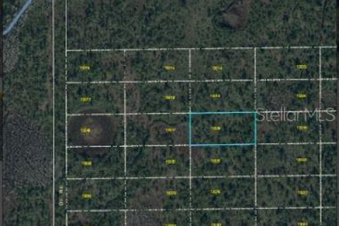 Land in Orlando, Florida № 2218729 - photo 3