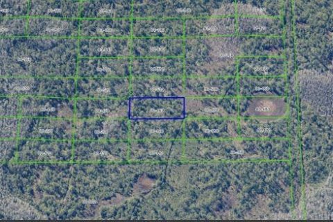 Land in Orlando, Florida № 2218729 - photo 6