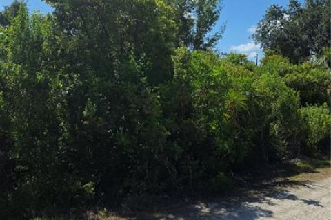 Terreno en venta en Punta Gorda, Florida № 2159451 - foto 5