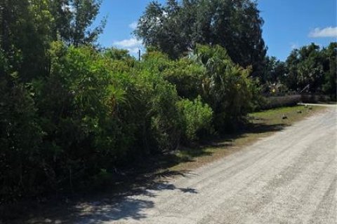 Terreno en venta en Punta Gorda, Florida № 2159451 - foto 6