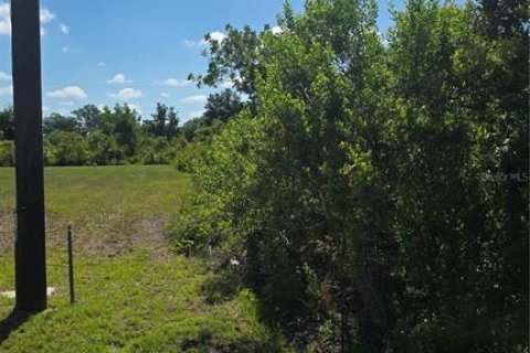 Land in Punta Gorda, Florida № 2159451