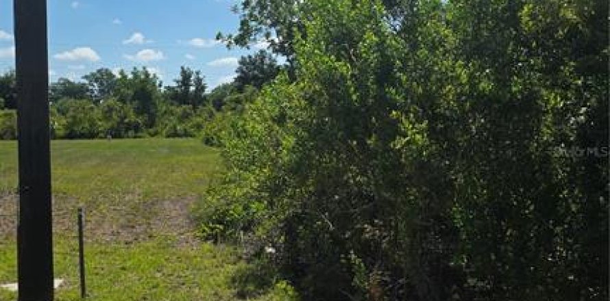 Terreno en Punta Gorda, Florida № 2159451