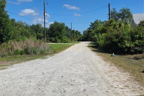 Terreno en venta en Punta Gorda, Florida № 2159451 - foto 3