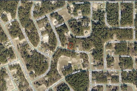 Land in Ocala, Florida № 2370920 - photo 3