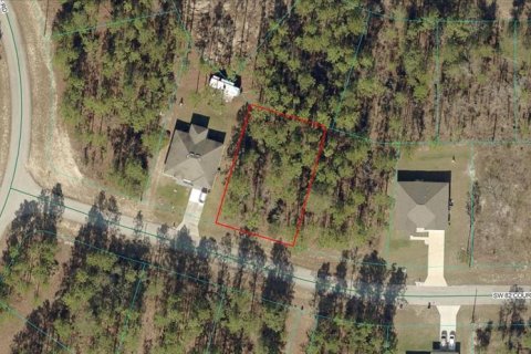 Land in Ocala, Florida № 2370920