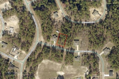 Land in Ocala, Florida № 2370920 - photo 2