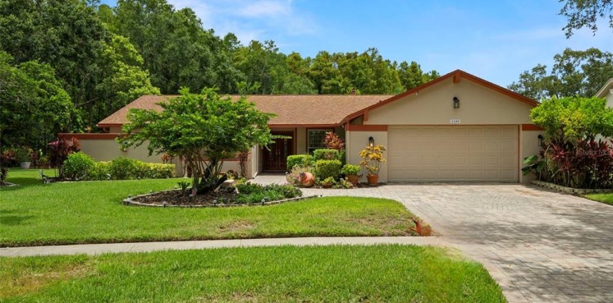 House in Tampa, Florida 4 bedrooms, 220.83 sq.m. № 1824529