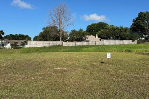 Land in Clermont, Florida № 1801441 - photo 1