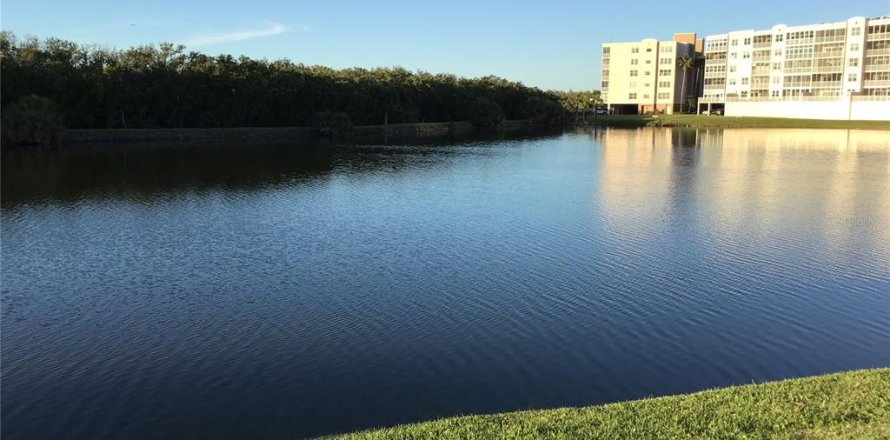 Condominio en Saint Petersburg, Florida, 2 dormitorios № 1582061