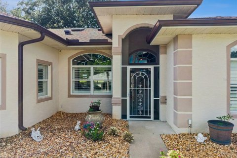 Villa ou maison à vendre à Leesburg, Floride: 3 chambres, 233.37 m2 № 2423736 - photo 2