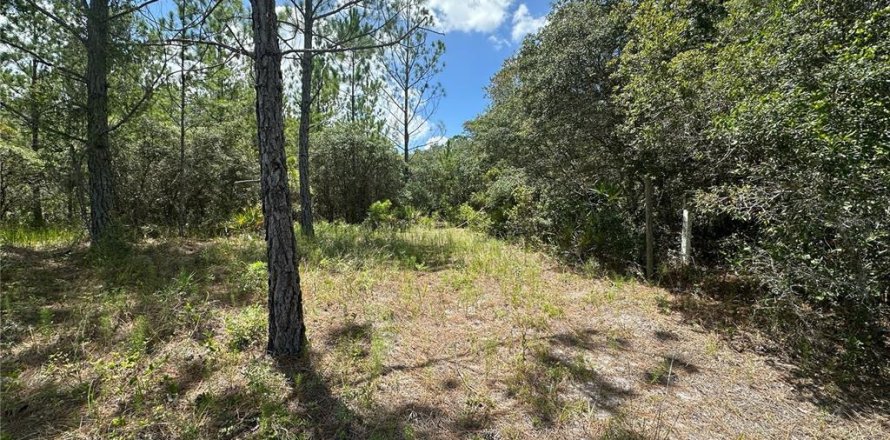 Terrain à Ocklawaha, Floride № 1850296