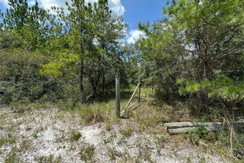 Terrain à vendre à Ocklawaha, Floride № 1850296 - photo 5