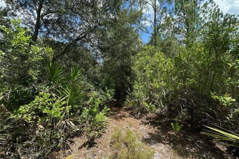 Terrain à vendre à Ocklawaha, Floride № 1850296 - photo 4