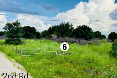 Commercial property in LaBelle, Florida № 1764025 - photo 4