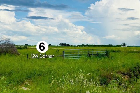 Commercial property in LaBelle, Florida № 1764025 - photo 3