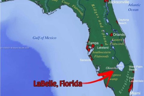 Commercial property in LaBelle, Florida № 1764025 - photo 2