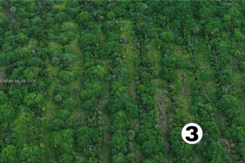 Commercial property in LaBelle, Florida № 1764025 - photo 5
