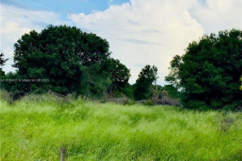 Commercial property in LaBelle, Florida № 1764025 - photo 8
