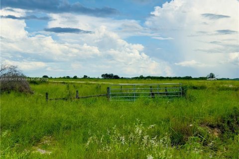 Commercial property in LaBelle, Florida № 1764025 - photo 7