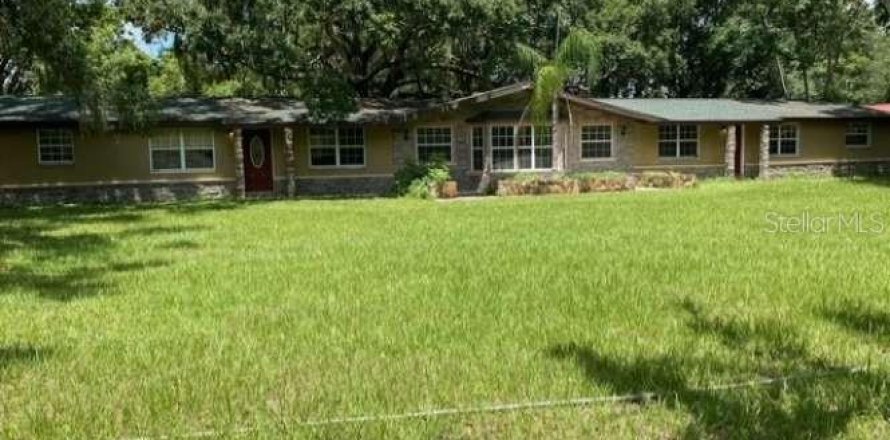 House in Lutz, Florida 6 bedrooms, 353.77 sq.m. № 1787472