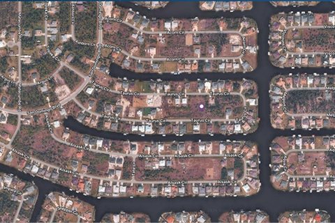 Land in Port Charlotte, Florida № 2163529 - photo 3