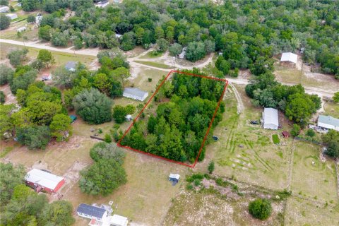 Terreno en venta en Bronson, Florida № 2237092 - foto 7