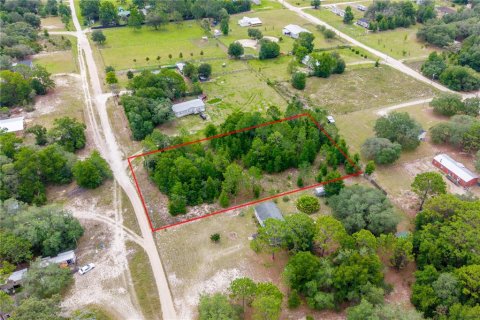 Terreno en venta en Bronson, Florida № 2237092 - foto 8